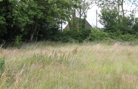 Plot in Broxted photo